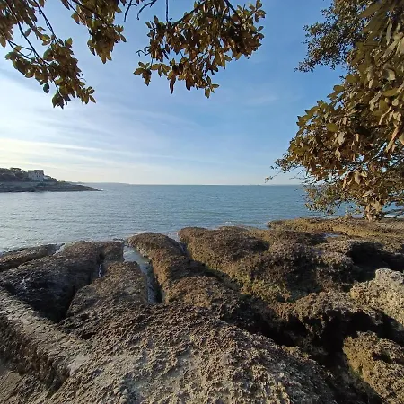 A La Mer Saint-Palais-sur-Mer
